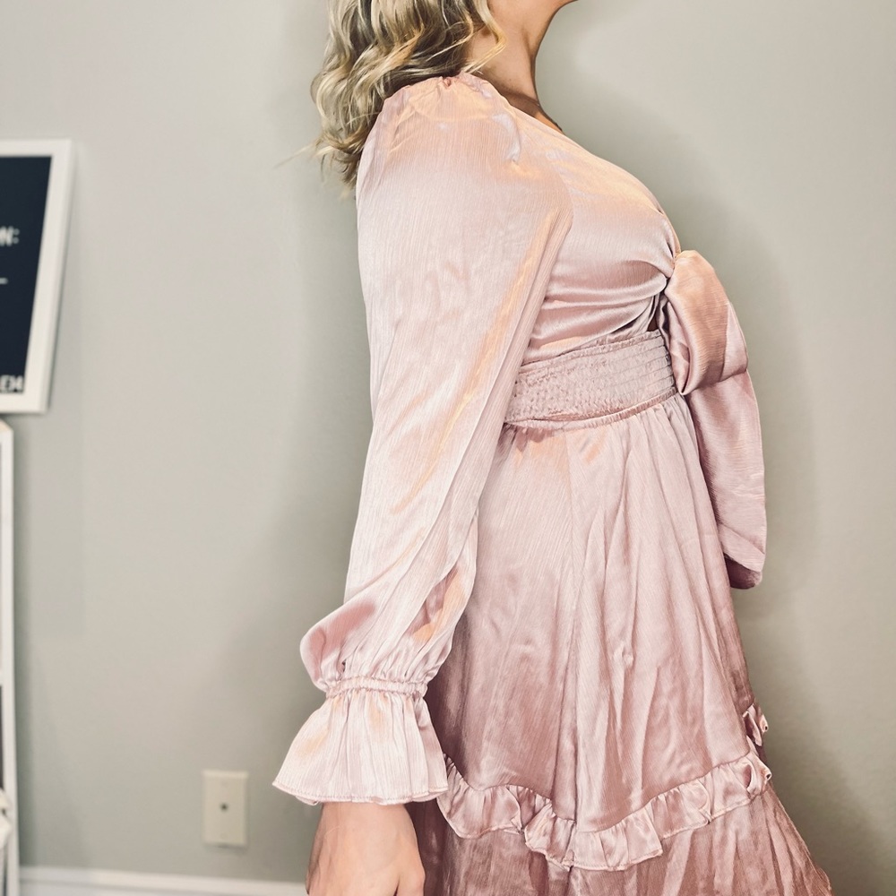 Blush Ruffle Dress - Picture 3 of 5
